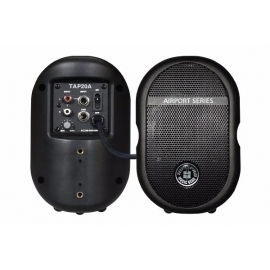 TOPP PRO TAP 20A Cassa Amplificata